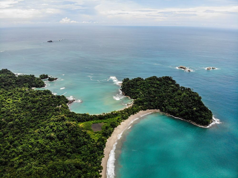 Wildlife and Waves: Adventures in Manuel Antonio Costa Rica