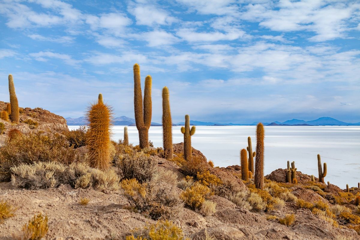 Adventurous 8 Days Tour in Bolivia — La Paz, Uyuni & Moon Valley