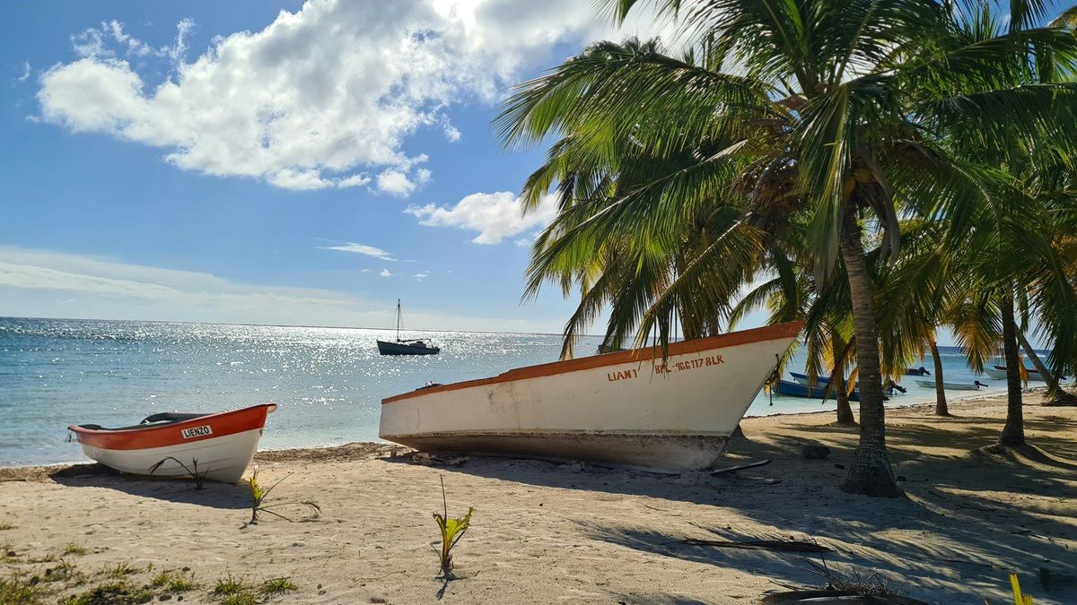 Sun-Kissed 8 Days Tour in Dominican Republic — Punta Cana & Saona